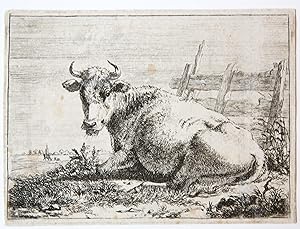 Ets/Etching: Cow resting by a fence (Rustende koe).