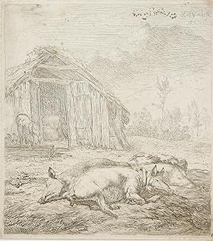 Antique print, etching | The pigs resting in front of a barn, published 1652, 1 p.