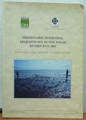 Prehistoric Intertidal Archaeology in the Welsh Severn Estuary (CBA Research Reports)