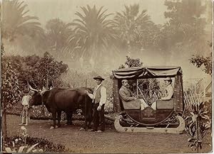 Souvenir Album of Original Photographs of Madeira, Including a Large Panorama