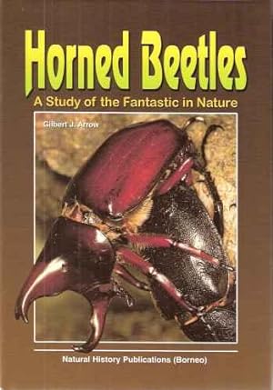 Horned Beetles - a study of the fantastic in nature.