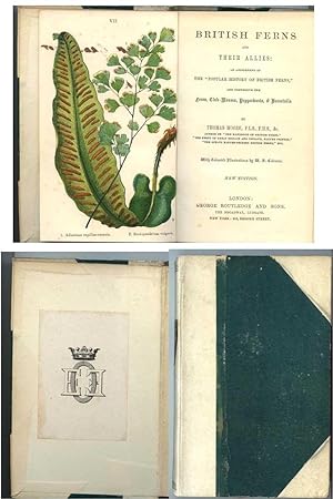 British Ferns and Their Allies, an Abridgement of the "Popular History of British ferns" and Comp...