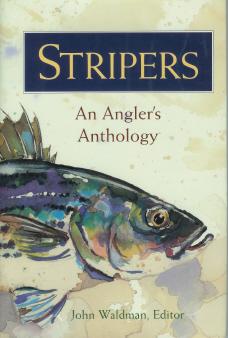In Search of the Striped Bass. [Waldman, John - Editor. Stripers, An Angler's Anthology]