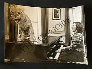 JOHN DRYSDALE-PHOTOGRAPHIE-"BIG CAT ON KEY"