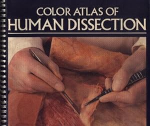 Color Atlas Of Human Dissection