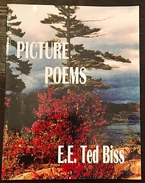 Picture Poems