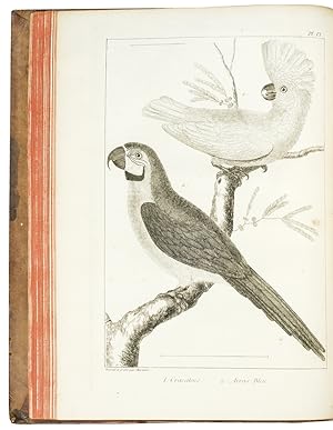 L'Histoire Naturelle éclaircie dans une de ses parties principales l'ornithologie, qui traite des...