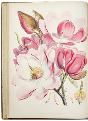 Illustrations of Himalayan Plants, chiefly selected from drawings made for the late J.F.Cathcart ...