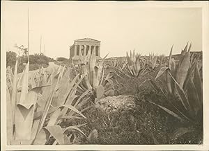 Sicile, Agrigente, La Vallée des Temples, Temple de la Concorde, ca.1925, vintage silver print