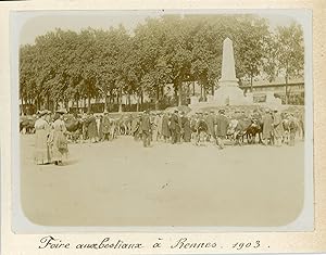 France, Foire aux bestiaux à Rennes 1903, Vintage citrate print