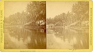 STEREO, D.R. Clark, Rivière et maisons Singalaises, Ceylon, vintage albumen print