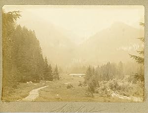Suisse, Alpes bernoises, ca.1900, vintage citrate print