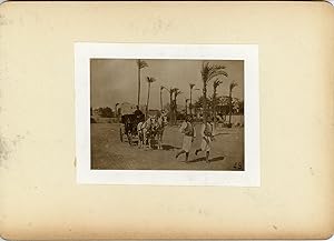 Egypte, Sais courant, ca.1900 contretype argentique