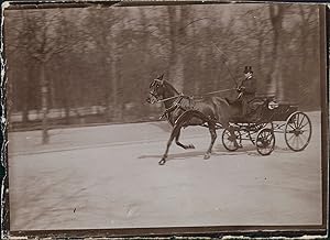 France, en calèche au parc, vers 1900
