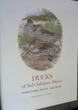 Ducks of Sub-Saharan Africa