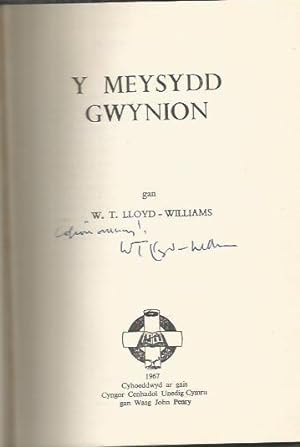 Y Meysydd Gwynion