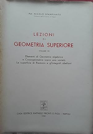 Lezioni di geometria superiore. Volume VII