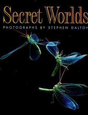 Secret Worlds: Photographs by Stephen Dalton