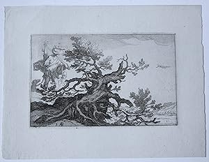 [Antique print, etching] Landscape with trees (Landschap met bomen), published ca. 1660.