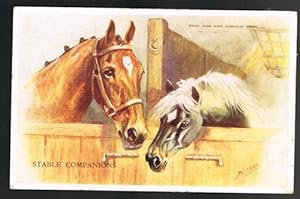Stable Companions Horse & Pony Postcard