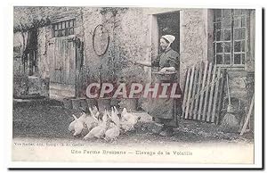 Une ferme bressane Carte Postale Ancienne Elevage de la volaille (reproduction)