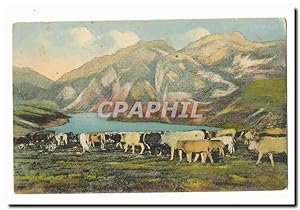 Pyrenees Carte Postale Ancienne Troupeau descendant (vaches)