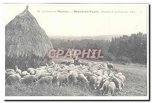 Environs de Meulan Carte Postale Ancienne Breuil en VExin Chemin de la cave aux fees (moutons) (r...