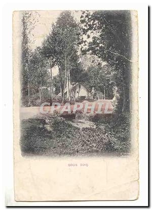 Carte Postale Ancienne Sous bois