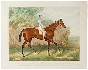 Melton. Winner of the Derby Stakes at Epsom 1885. As a two year old he won the New Stakes at Asco...