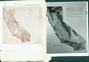 Sketch For Meditations On The Condition Of The Sacramento River, The Delta, And The Bays At San F...