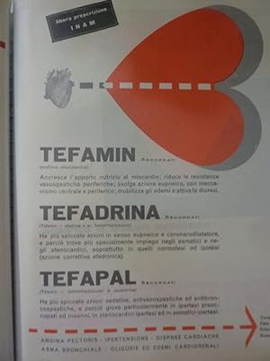 TEFAMIN - TEFADRINA - TEFAPAL Recordati