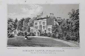 Original Antique Lithograph Illustrating Dimland Castle in Glamorgan, Wales, the Seat of John Nic...