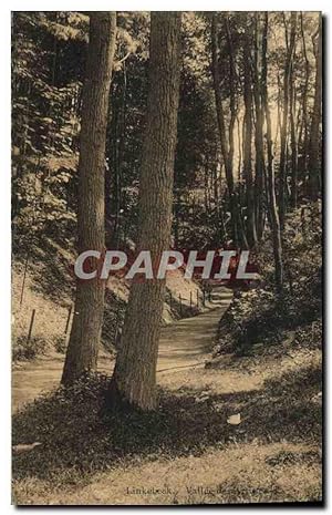 Carte Postale Ancienne Linkebeek Vallée des Artistes
