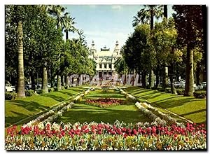 Carte Postale Moderne La Cote d'Azur Miracle de la Nature Monte Carlo Jardins du Casino