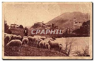 Carte Postale Ancienne Lourdes Moutons