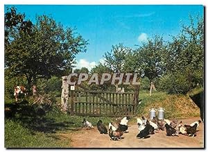 Carte Postale Moderne Paysage pittoresque