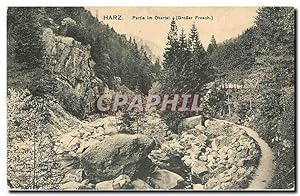 Carte Postale Ancienne Harz Partie im Okertal Grosser Frosch