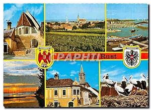Carte Postale Moderne Gruesse aus Rust Cigognes