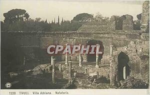 Carte Postale Ancienne VILLA ADRIANA . VIALE DEI CIPRESSI(TIVOLI)