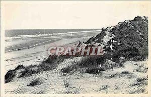Carte Postale Ancienne Knokke Zoute Mer et dunes