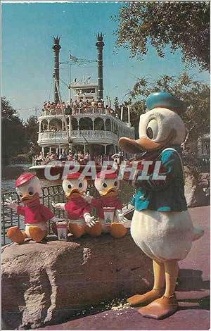 Carte Postale Moderne Donald and his Nephews Walt Disney