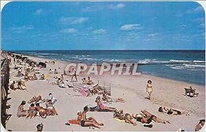 Carte Postale Ancienne Bathing and Sun Tanning at beautiful Palm Beach Florida