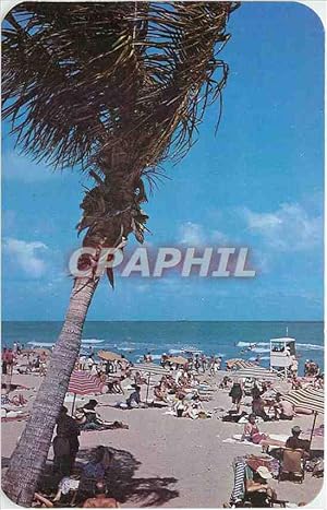 Carte Postale Ancienne Bathing and Sun Tanning at beautiful Miami Beach Florida