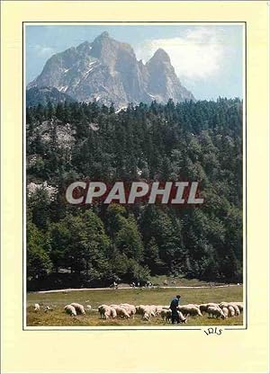 Carte Postale Moderne Refelts du Bearn Transhumance au pied de l'Ossau (alt 28884 m)