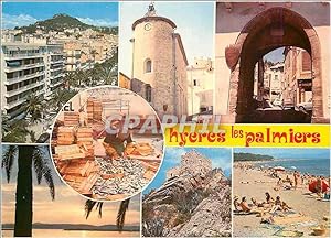 Carte Postale Moderne Lumiere et Beaute de la Cote d'Azur Hyeres les Palmiers