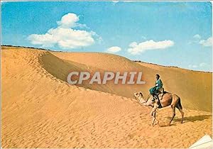 Carte Postale Moderne Maroc Typique Mehariste dans le desert