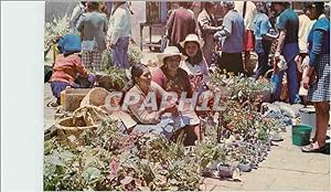 Carte Postale Moderne Ecuador Market of plants and flowers at the Carmen plazuela la Cuenca city