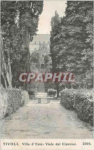 Carte Postale Ancienne Tivoli Villa d'Este Viale dei Cipressi