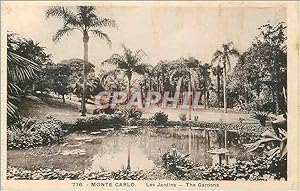Carte Postale Ancienne MONTE CARLO- Les Jardins