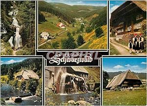 Carte Postale Moderne Der Schone Schwarzwald
